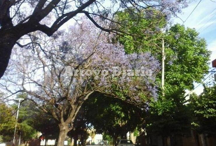 Imagen de Miércoles y jueves con máximas que alcanzarán los 30 grados