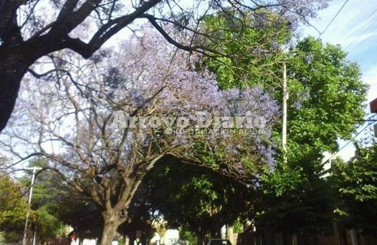 Imagen de Mi&eacute;rcoles y jueves con m&aacute;ximas que alcanzar&aacute;n los 30 grados