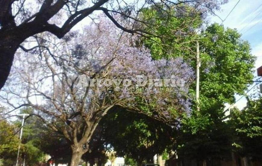 Imagen de Mi&eacute;rcoles y jueves con m&aacute;ximas que alcanzar&aacute;n los 30 grados