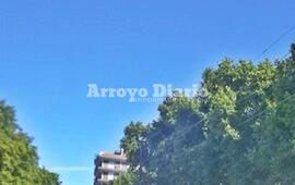 Imagen de Viernes caluroso con una m&aacute;xima prevista en 32 grados