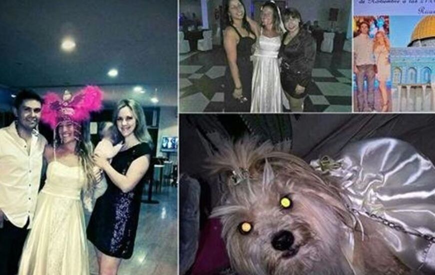 Imagen de La dejaron plantada en el altar y termin&oacute; cas&aacute;ndose con su perra