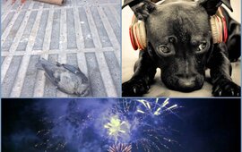 Foto: Imagen Ilustrativa