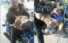 Fotos: Gentileza Juan Carlos Abrahan