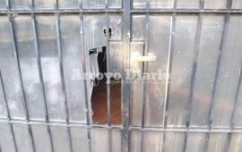 Así la dejaron. Los ladrones violentaron puertas para ingresar al interior del inmueble y como si esto fuera poco también le pegaron a la mascota de la familia.