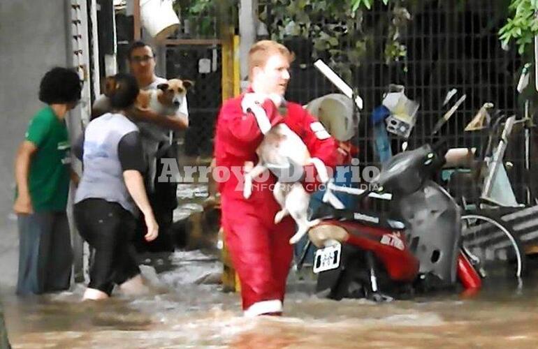 Foto: captura de pantalla video