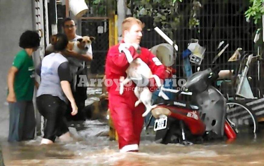 Foto: captura de pantalla video