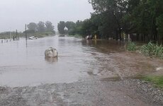 Completamente cubierto de agua. Así estaba el campo este lunes a la mañana. Foto: Nicolás Trabaina