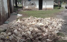 Impactante. Una de las tristes postales que dej&oacute; el temporal. Foto: Facebook