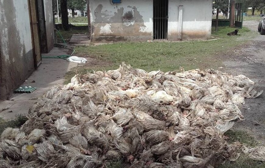 Impactante. Una de las tristes postales que dej&oacute; el temporal. Foto: Facebook
