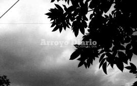 Foto: Imagen Ilustrativa