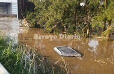 Imagen de Completamente cubierta por el agua