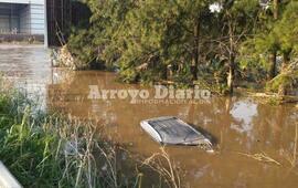Imagen de Completamente cubierta por el agua