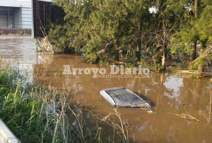 Imagen de Completamente cubierta por el agua