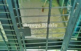 Foto: Jorge Alberto Cuello