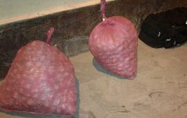 Imagen de Incautan 30 kilos de coca&iacute;na ocultos en bolsas de ajo