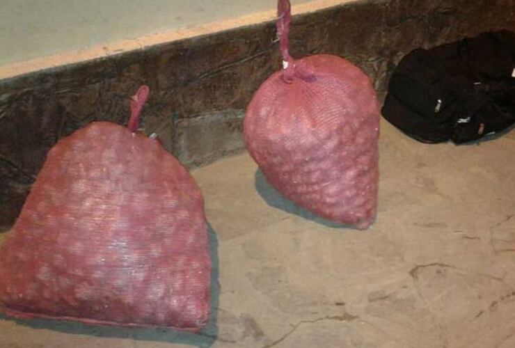 Imagen de Incautan 30 kilos de cocaína ocultos en bolsas de ajo