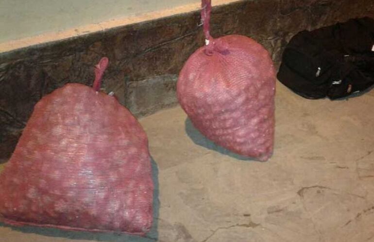 Imagen de Incautan 30 kilos de cocaína ocultos en bolsas de ajo