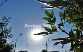 Cielo bien celeste. Así se veía el cielo esta mañana tempranito, anunciando un lindo día.
