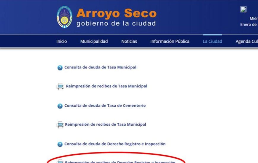 En la web oficial. Para imprimir los recibos deber&aacute;n visitar el portal web de la municipalidad.