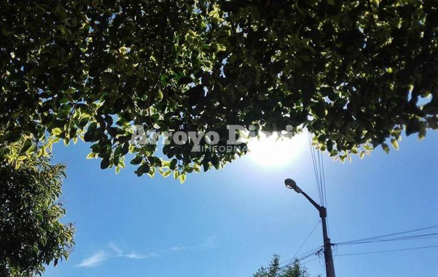 Imagen de Jueves para pasarlo bajo la sombra