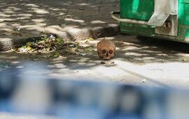 Impactante. El cr&aacute;neo fue encontrado en Montevideo al 700. Foto: Alan Monz&oacute;n/Rosario3.com