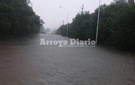 Imagen de �As&iacute; estamos en el puerto, aislados de todo�