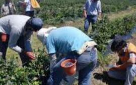 Foto: Archivo La Capital