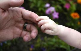 Foto: Imagen Ilustrativa