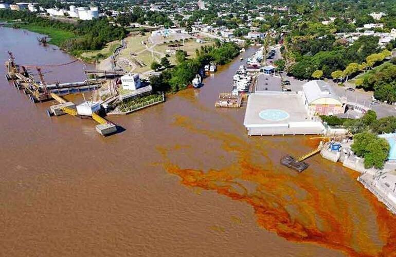 Imagen de Bunge informó que están trabajando para minimizar el impacto medioambiental