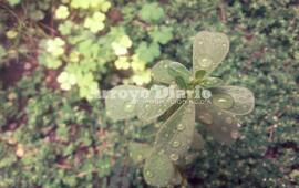 Imagen de El alerta contin&uacute;a vigente en nuestra zona