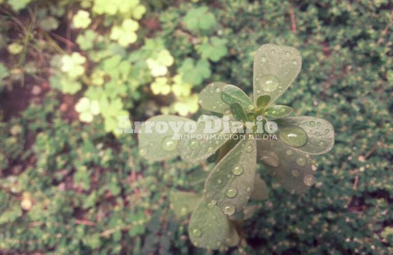 Imagen de El alerta contin&uacute;a vigente en nuestra zona