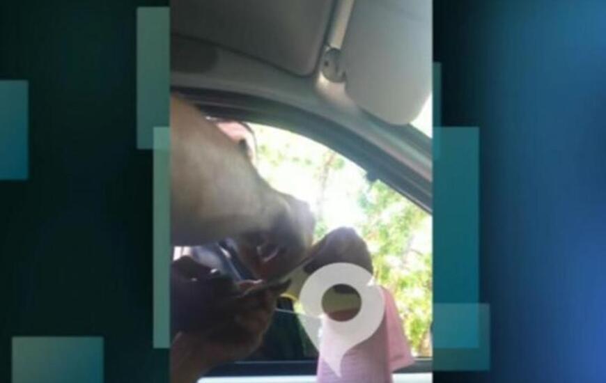 Foto: captura de pantalla video