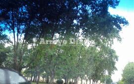 Imagen de Lunes algo oto&ntilde;al con una m&aacute;xima que alcanzar&aacute; los 26 grados