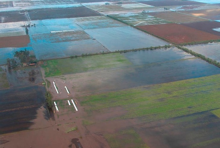 Imagen de Se detectaron una gran cantidad de canales clandestinos en Santa Fe