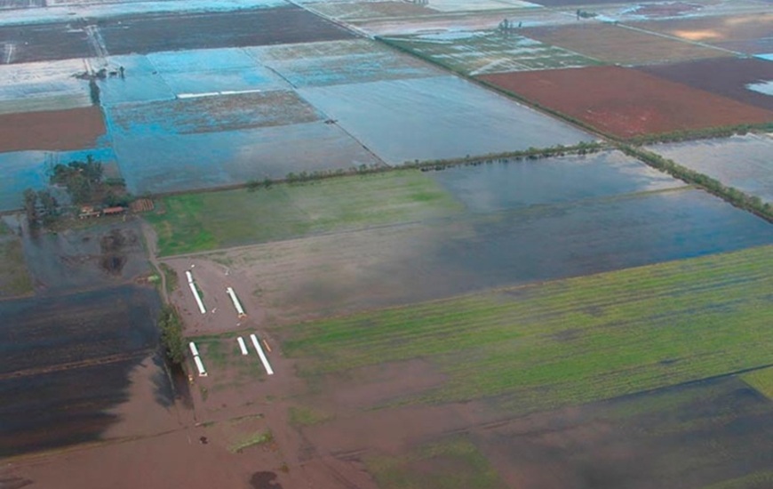 Imagen de �Se detectaron una gran cantidad de canales clandestinos en Santa Fe�