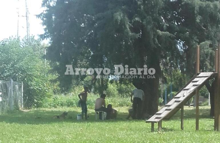 Imagen de Personas en situación de calle: Se los había reubicado pero ahora volvieron