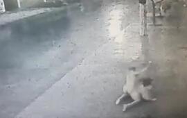 Brutal. El hombre sin control golpe&oacute; a una se&ntilde;ora que iba a tomar el colectivo.