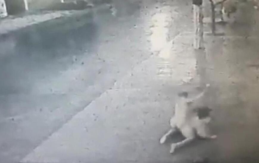 Brutal. El hombre sin control golpeó a una señora que iba a tomar el colectivo.