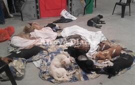 Nueva jornada. Se realiz&oacute; este martes en la Iglesia Redentor que cedi&oacute; sus instalaciones.