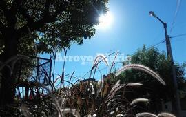 Imagen de Volvi&oacute; el solcito y se anticipa una m&aacute;xima de 31 grados para hoy