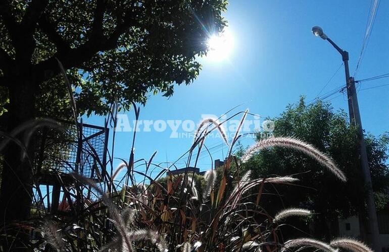 Imagen de Volvi&oacute; el solcito y se anticipa una m&aacute;xima de 31 grados para hoy