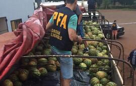 Secuestraron 7 toneladas de sandía con marihuana en su interior. Foto: Ministerio de Seguridad