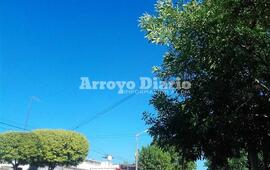 Imagen de Despejado pero con probabilidad de lluvias por la tarde