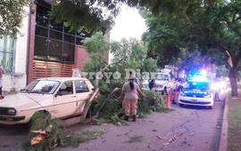En el lugar. Tras el accidente arrib&oacute; al lugar la GUM, Comando Radioel&eacute;ctrico y se hizo presente el Secretario de Obras P&uacute;blicas Adri&aacute;n Spina.