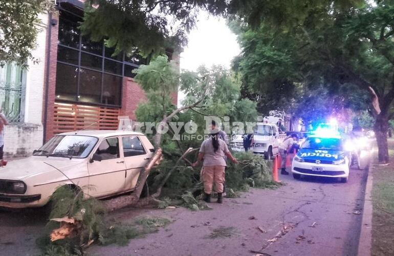 En el lugar. Tras el accidente arribó al lugar la GUM, Comando Radioeléctrico y se hizo presente el Secretario de Obras Públicas Adrián Spina.