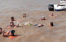 Imagen de Los Tiburones vuelven a nadar en el R&iacute;o Paran&aacute;!!!