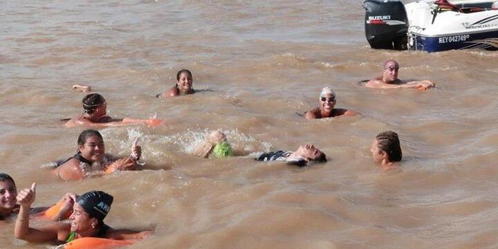 Imagen de Los Tiburones vuelven a nadar en el Río Paraná!!!