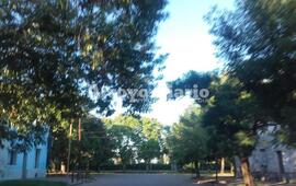 Imagen de Para estar bajo la sombra: sigue el alerta amarillo aunque llegar&iacute;a el alivio