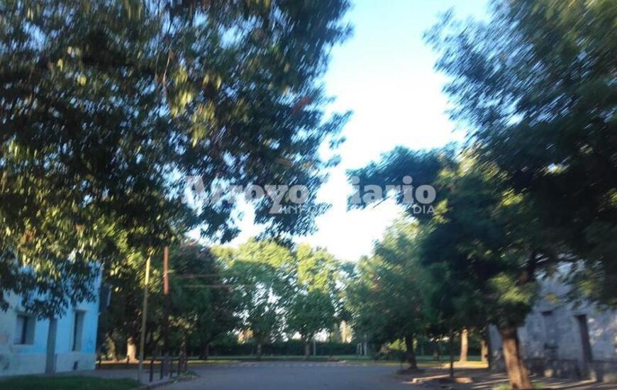 Imagen de Para estar bajo la sombra: sigue el alerta amarillo aunque llegaría el alivio