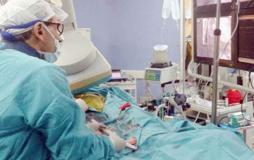 Imagen de Ablaci&oacute;n: 12 donaciones de tejidos con 25 trasplantados